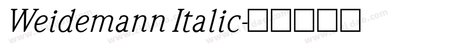 Weidemann Italic字体转换